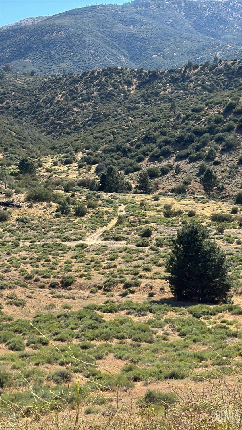 Vogel Road — photo 6