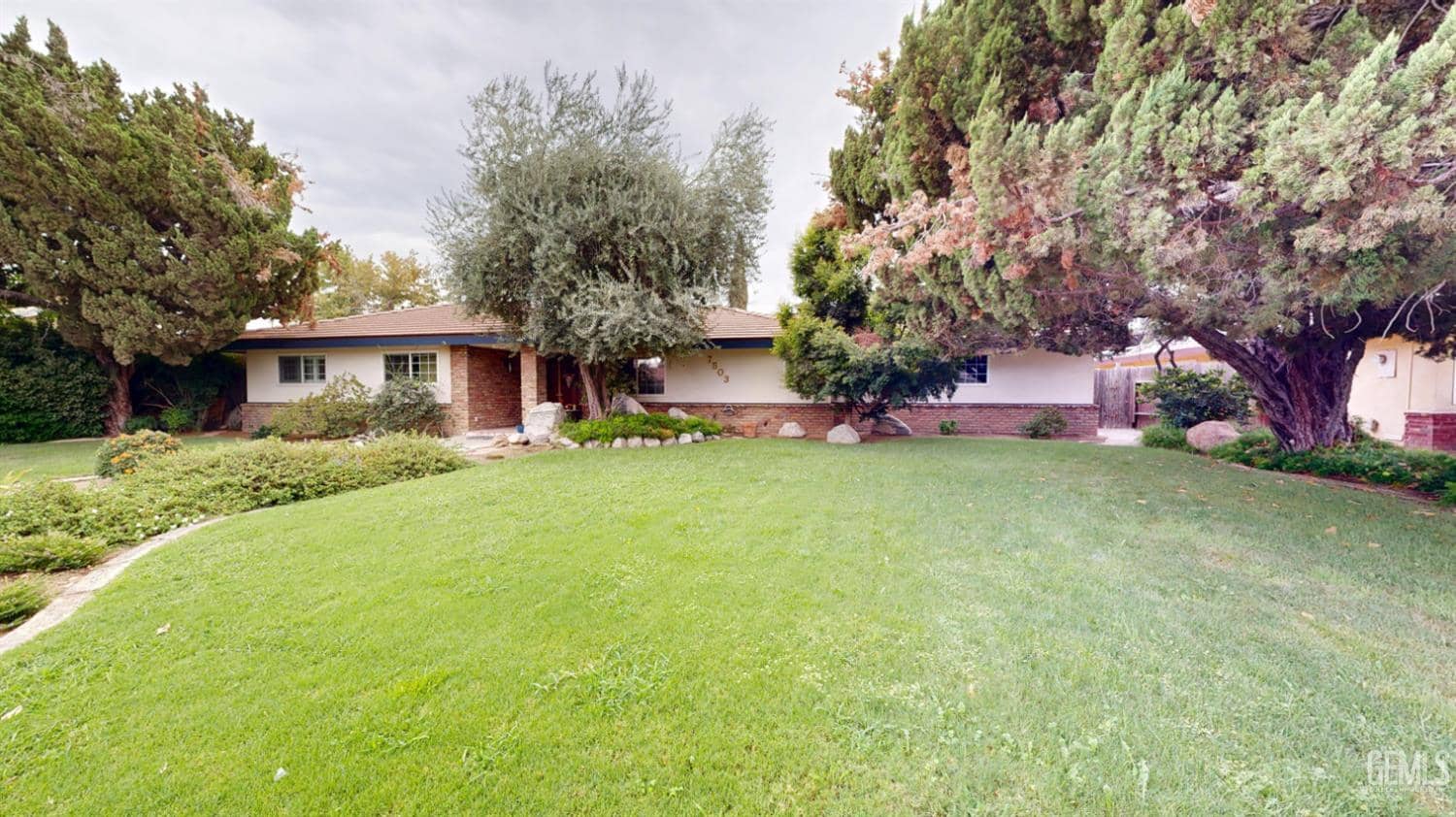 7503 Olive Drive — photo 2